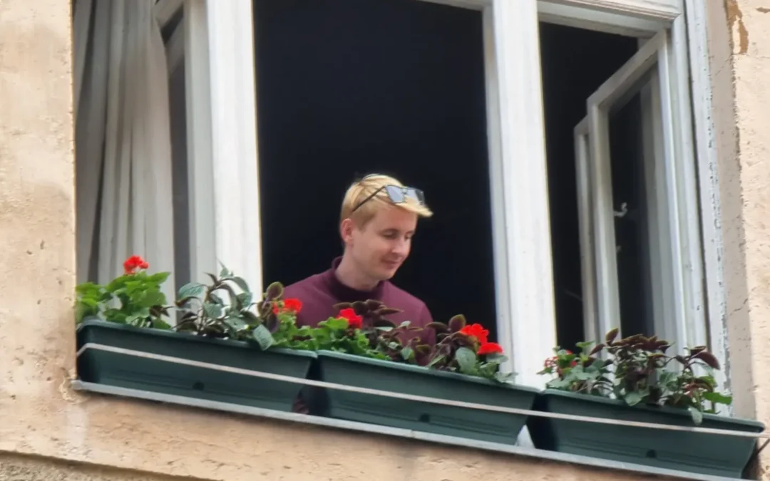 Zöld ablakok, boldog város