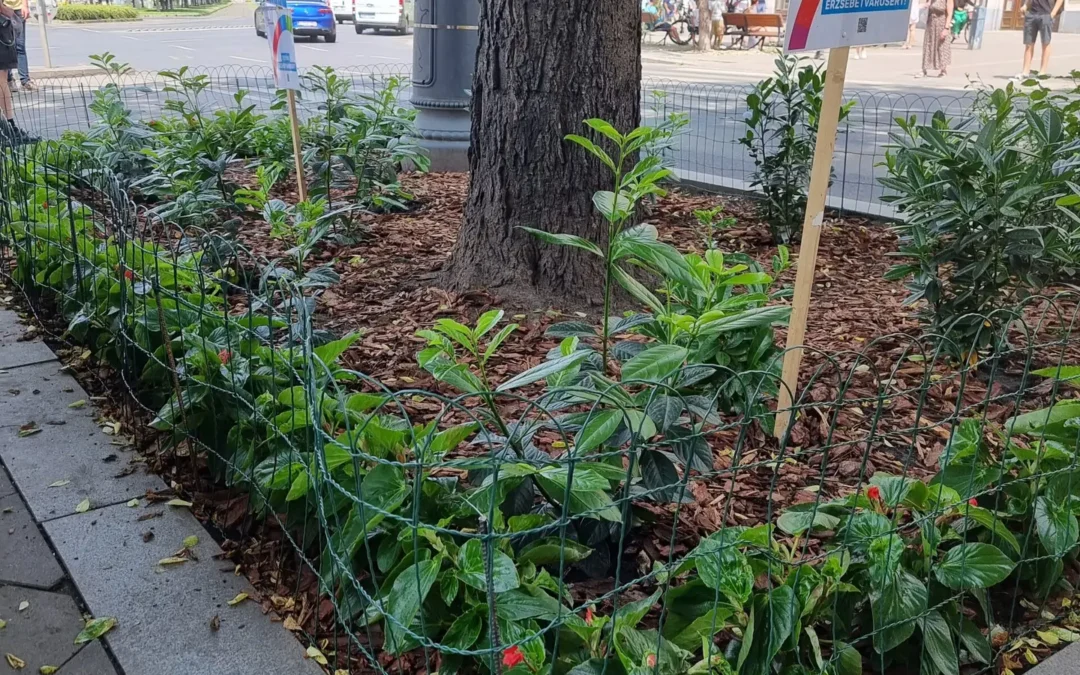 Belvárosi színház zöldítés