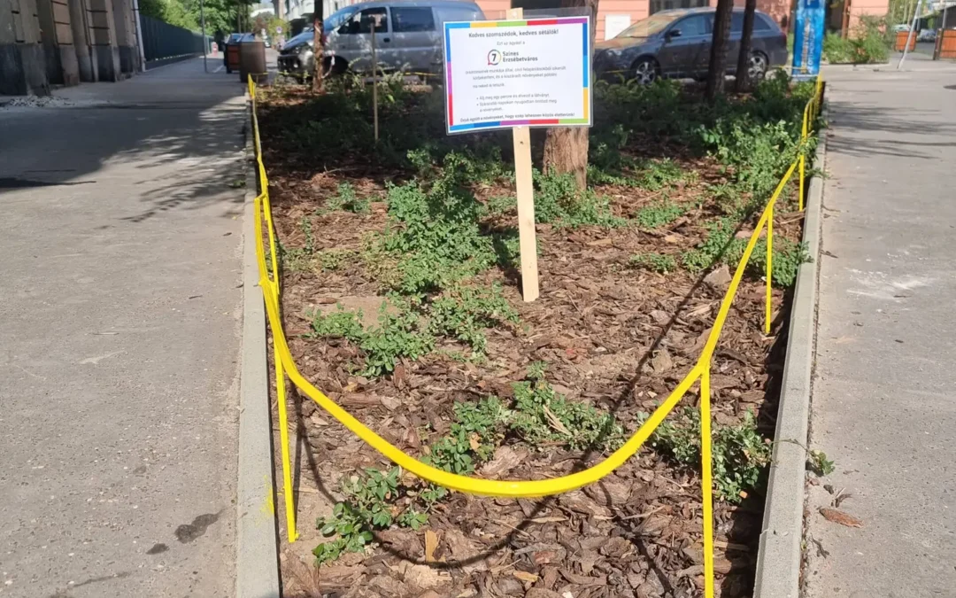 Jobbágy, Verseny Sarok ágyás rendezés