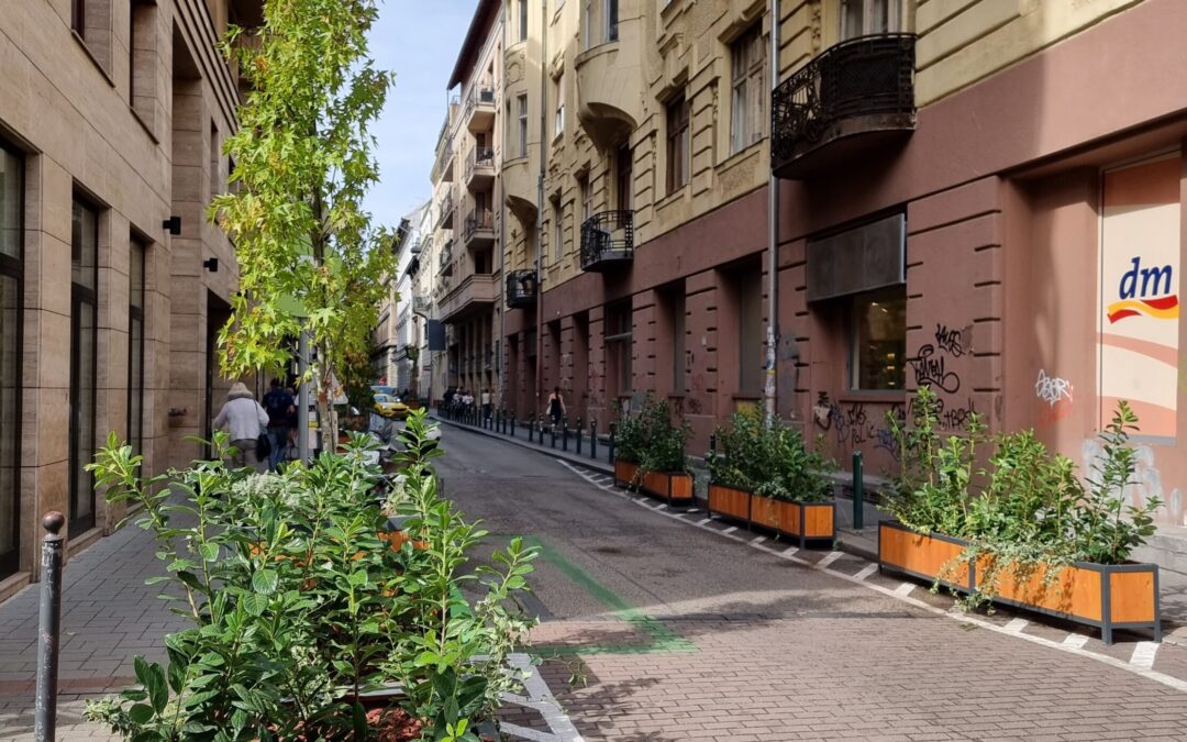 Székely Mihály utca parklet